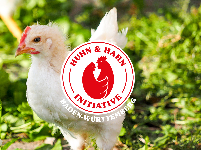 Huhn und Hahn Initiative