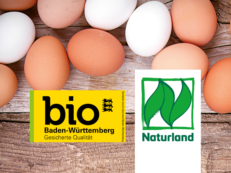 Bio-Eier vom Bromberghof